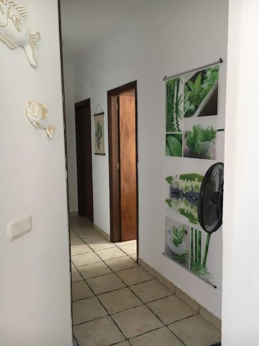 Apartamento Playero Privado Wifi- Morrojable Morro Jable (Fuerteventura) Exterior foto